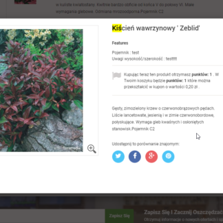 Add Product Features / Attributes To Quick View box Prestashop 9.0, 8.2, 8.1, 8.0, 1.7, 1.6